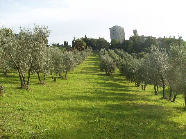 porta-vera-di-vertine