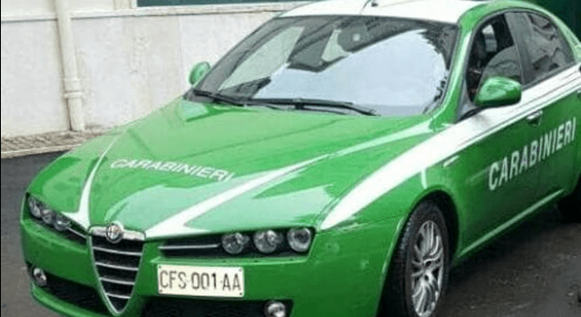 macchina-carabinieri-ex-forestale-foto-da-motori-it