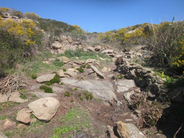 crimine-mio-la-giacca-dÖ-la-misura..