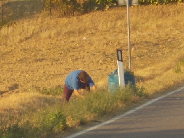 la signora che fa l'erba ai coniglioli