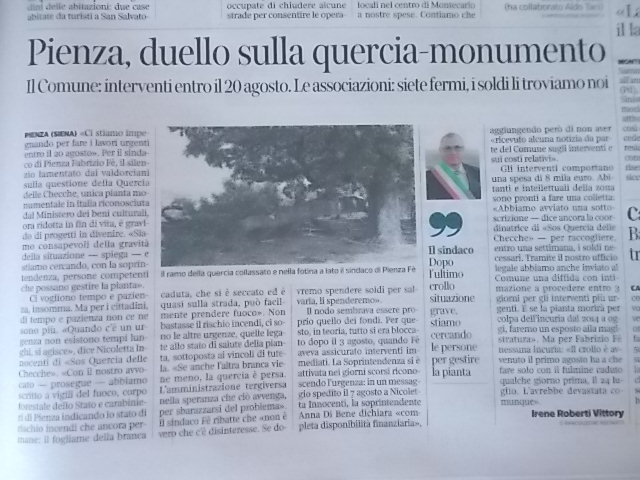 quercia checche, articolo corriere fiorentino del 12 agosto 2017