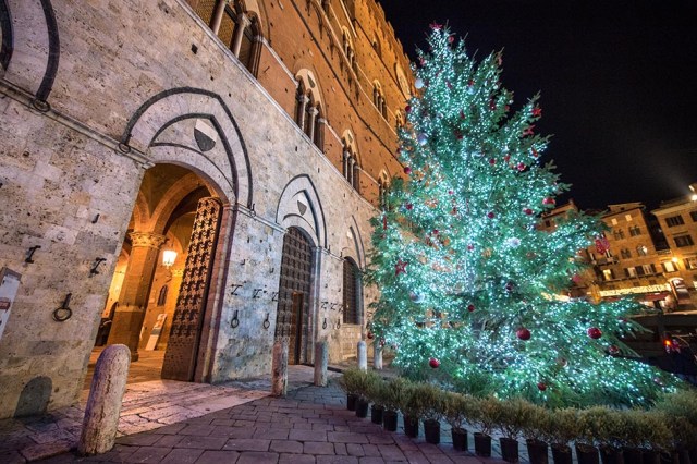 albero natale piazza del campo