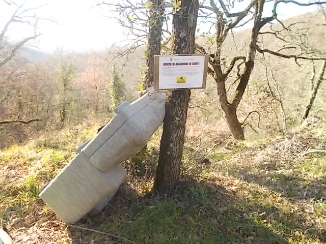 divano cavarchione 10 febbraio 2018