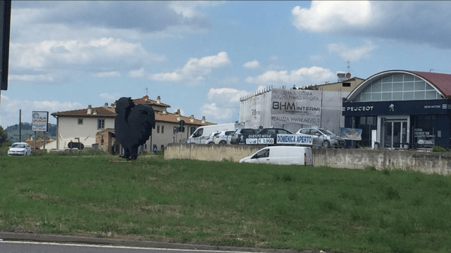 il gallo nero di poggibonsi