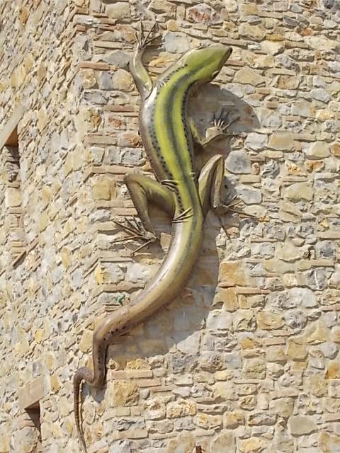 la lucertola di fabio zacchei