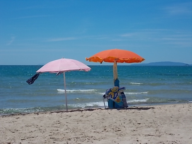 monte dei paschi di radda in chianti clima tropicale