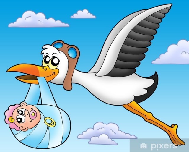 Flying stork with baby