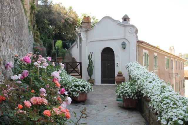 casa delle rose e del convolvolo castiglion della pescaia