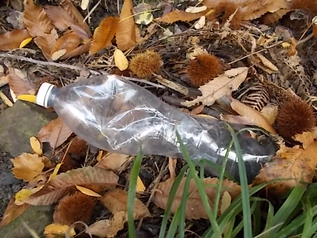 bottiglia di plastica nel bosco