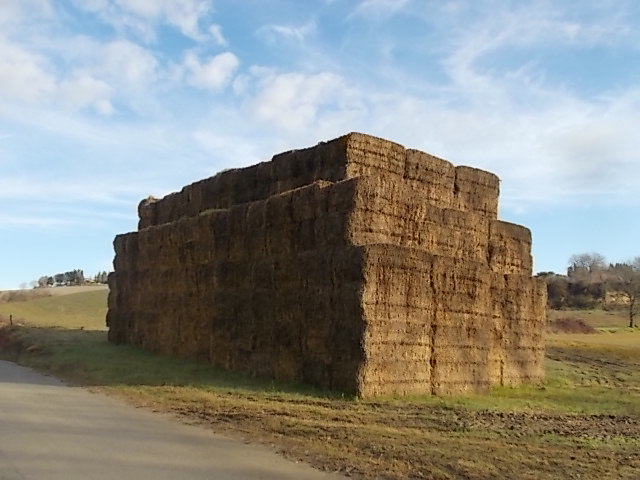 chiesa paglia come san galgano
