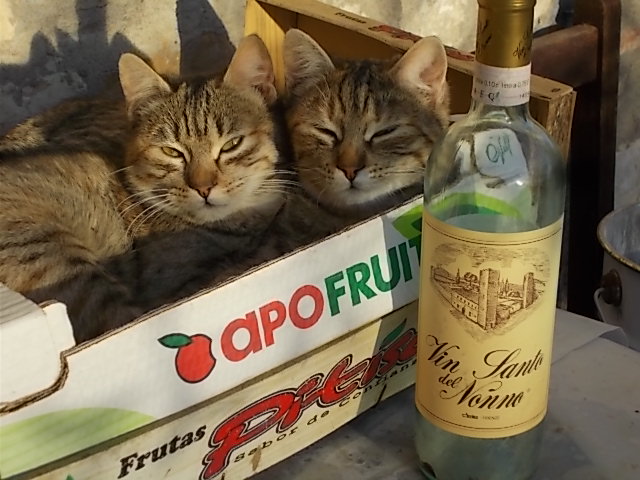 gattine visanto del nonno