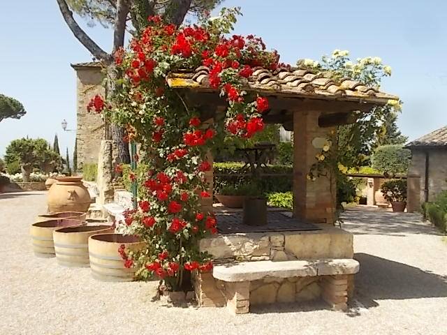 pozzo scarlatto e crema