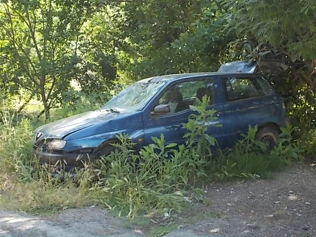 auto abbandonata pubblica assistenza castelnuuovo berardenga