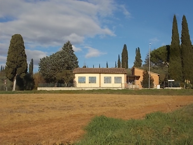 erba arancione asilo nido montaperti