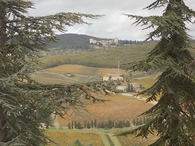 meleto vista vertine la creazione di michelangelo