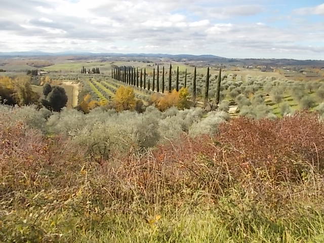 vista da montegiachi berardenga