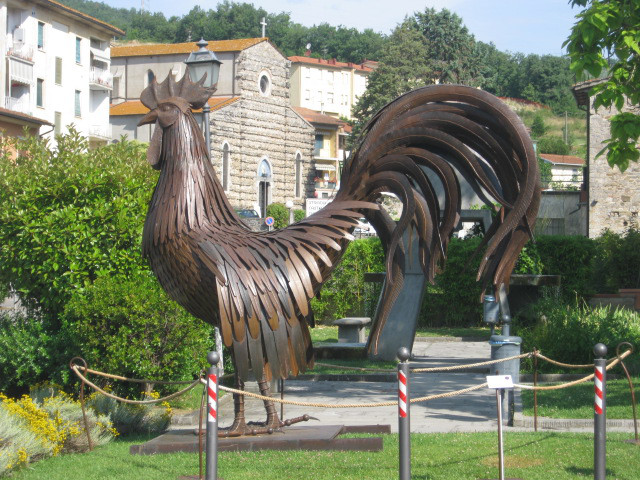 il-gallo-di-fabio-zacchei-foto-di-andrea-pagliantini