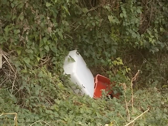 poltrona dietro teatro alfieri berardenga