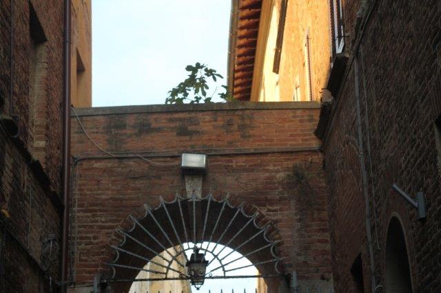 fico ingresso villa chigi saracini berardenga