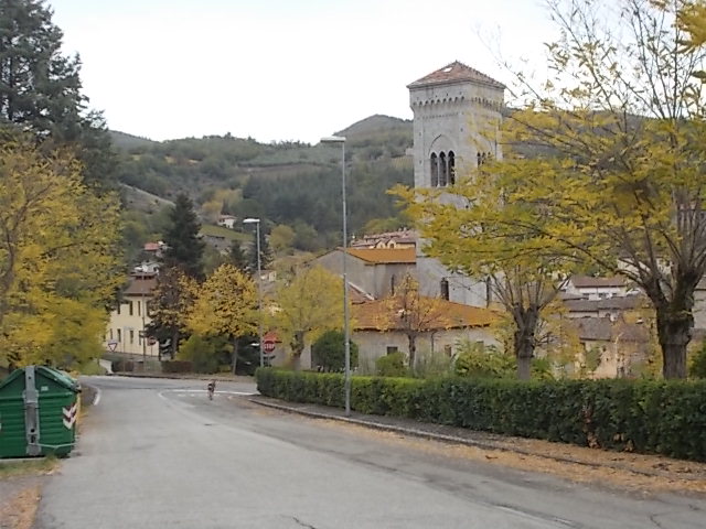 daino a passeggio via galilei gaiole