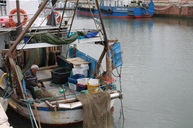 il pescatore di fiumicino