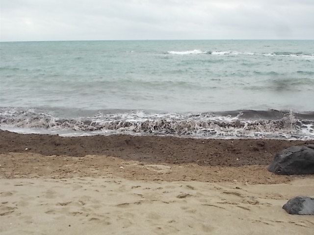 lido carabiniere focene, mare liquami febbraio 2022