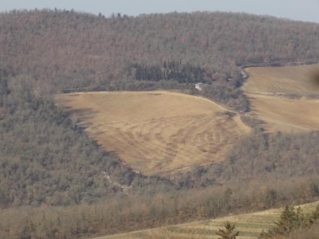 vigna la cerreta - vertine