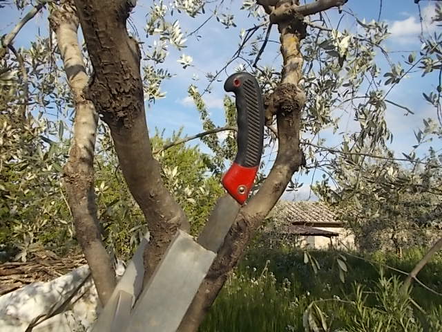 sega nella scala vertine frantoio