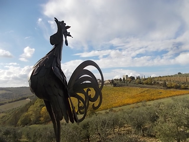 vertine-gallo-di-paiolo