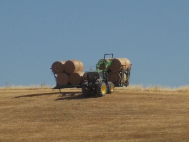 rotoballe nelle crete senesi