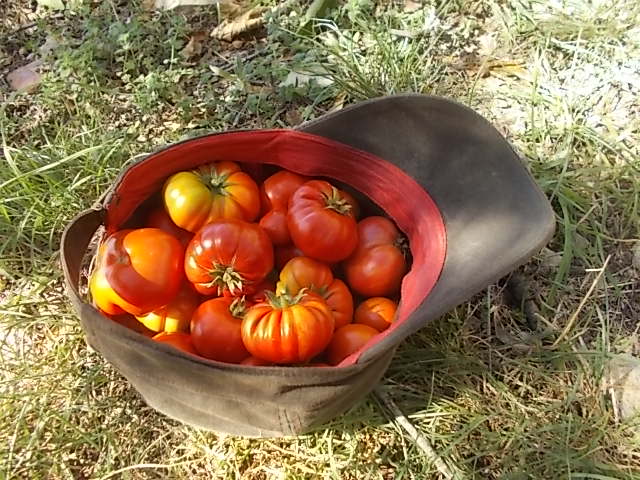 canestrini nel cappello