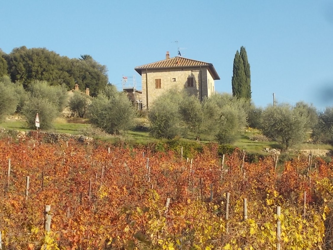 villa a sesta casa viti foglie rosse