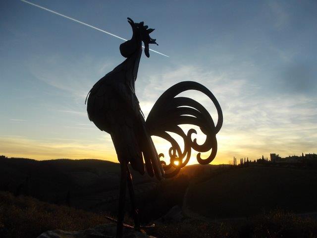 gallo aereo, sole, tramonto, vertine