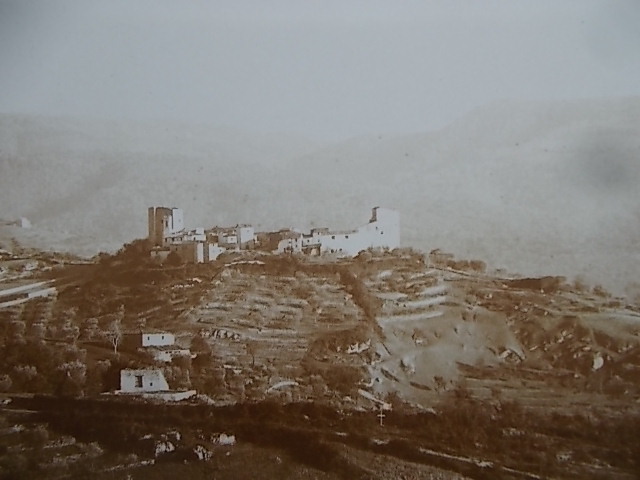 vertine-nel-1896-foto-di-odoardo-beccari-fondo-alinari