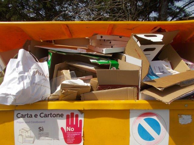 cassonetto della carta