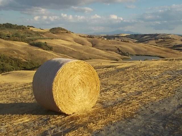 crete senesi