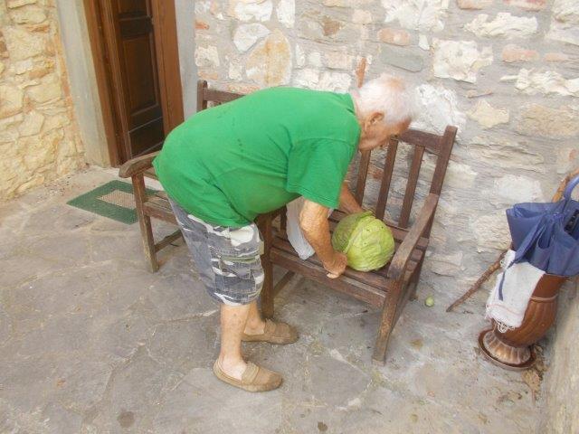 vasco, vertine e cavolella