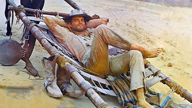 don terence Kovilage Terence Chaminda Silva