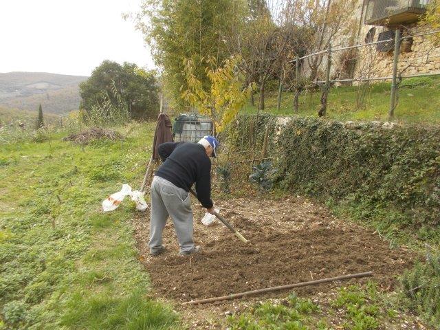 vasco vertine semina aglio