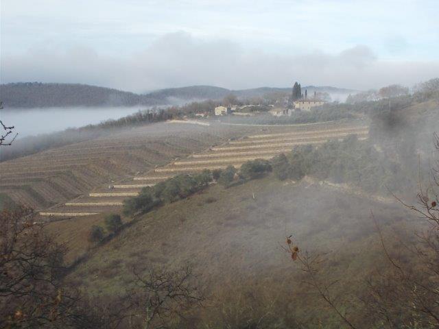 vertine gennaio 2024