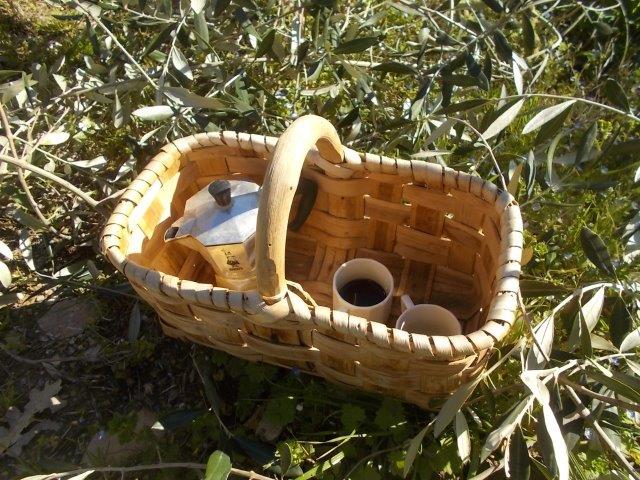 bialetti fra gli ulivi