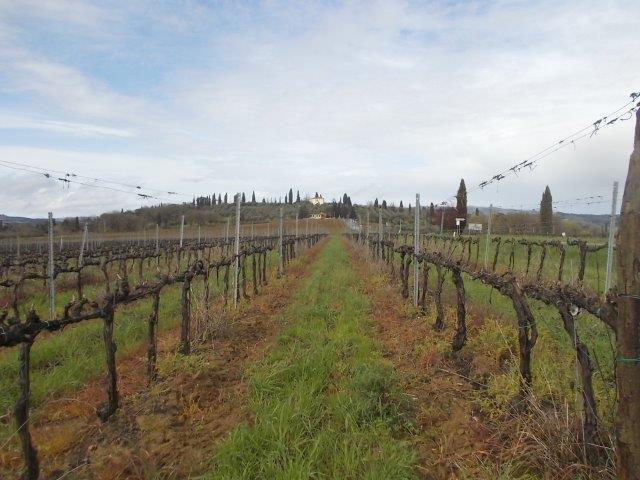 montaperti diserbante marzo 2024