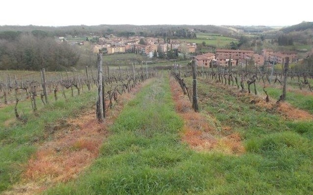 ponte-a-bozzone-diserbante-2024