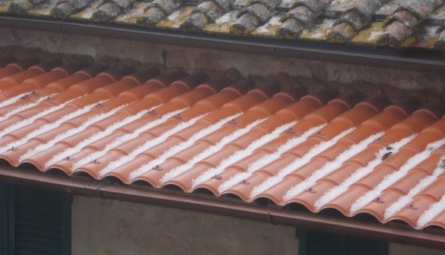 grandine della berardenga