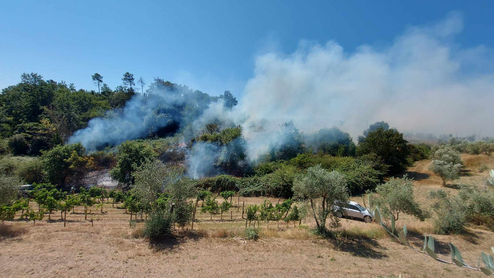 incendio arceno berardenga
