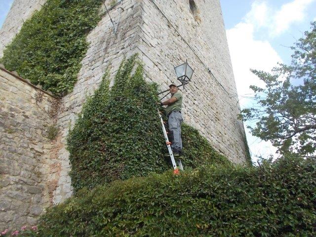 sorin pulizia edera torre vertine