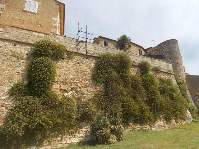 capperi rapolano terme