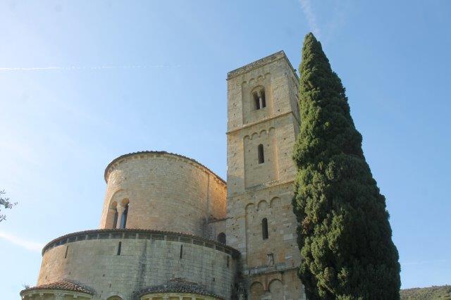 cipresso sant'antimo