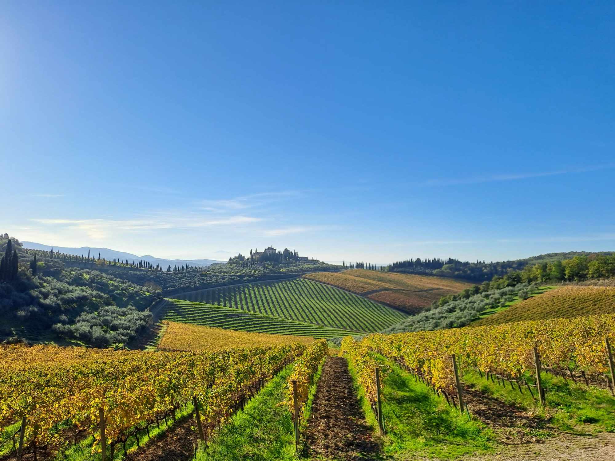 san donato in perano novembre 2024