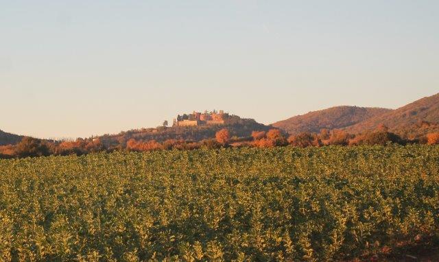 fave pagliaia vista brolio